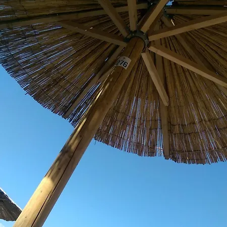 Apartment And Kiko *