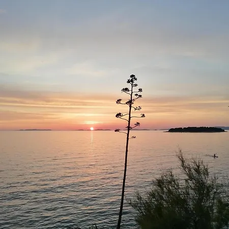 And Kiko プリモシュテン