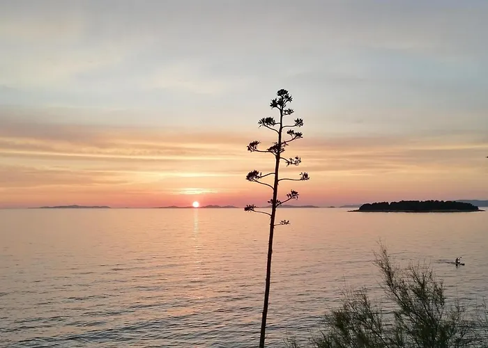 And Kiko 普利莫顿